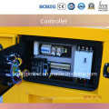 10kVA Diesel Generator Powered by Chinese Yangdong Engine